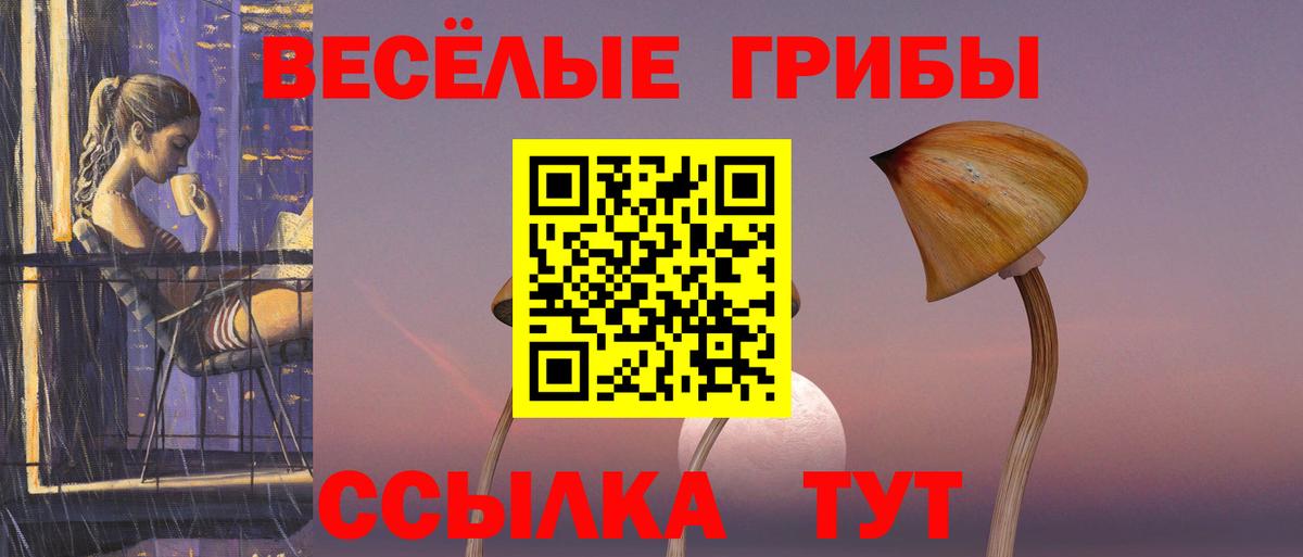 Бузулук  Псилоцибиновые грибы мицелий  Вход с VPN  Псилоцибиновые грибы ЛСД 